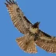 wawkrk