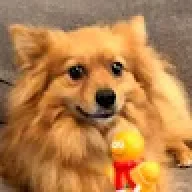 Samdorob