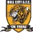 Hull City Fan